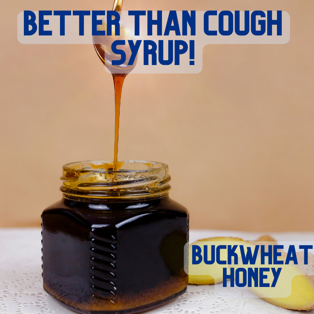 What is Buckwheat Honey and How Does it Work as Cough Syrup Griesemer