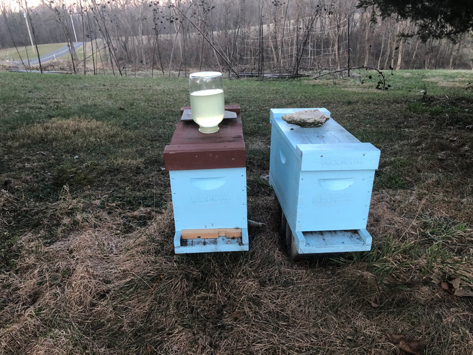 Feeding the bees