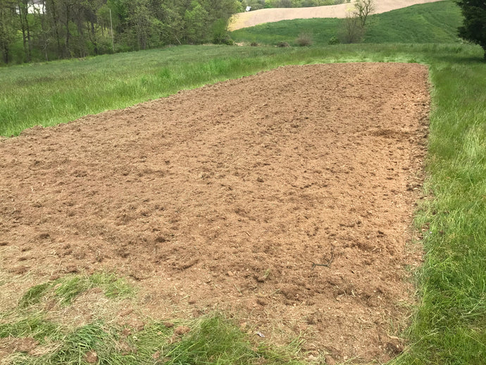 Site Preparation for Planting a Pollinator Meadow