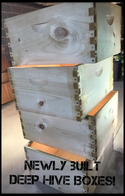 Building Deep Hive Boxes