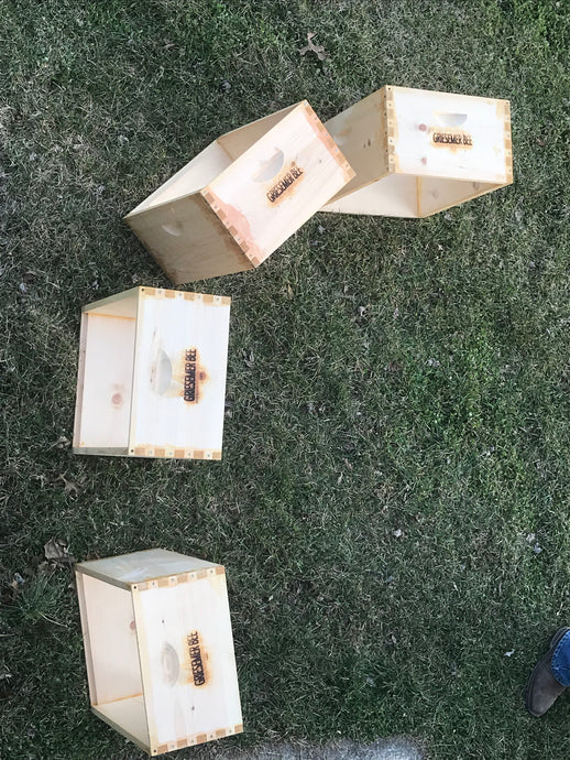 Branding Bee Hives